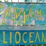 salviamo gli oceani