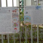 cartelloni al cancello della scuola