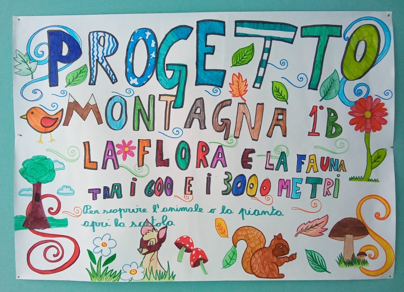 foto: cartellone "Progetto Montagna classe 1B, La Flora e la Fauna tra i 600 e i 3000 metri".