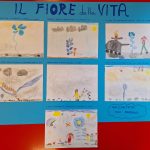 disegni in sequenza del libro "Il fiore della vita"