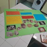 esperimento di scienze