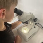bambino al microscopio