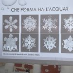 Che forma ha l'acqua?
