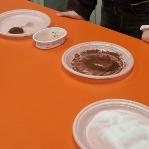 GIORNATA-DELLE-SCIENZE-26-11.jpg