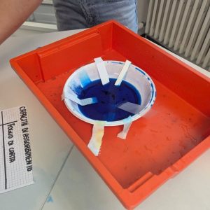 GIORNATA-DELLE-SCIENZE-26-16.jpg